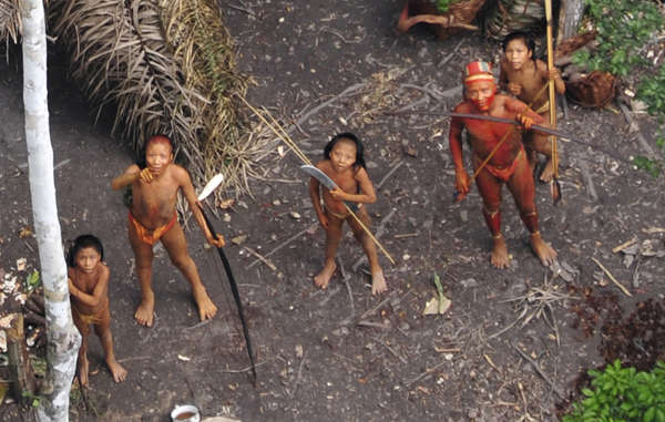 브라질 원시 부족 살해한 불법 채금꾼 논란