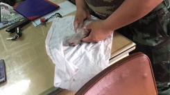 심폐소생술로 의식 없는 강아지 살려낸 군인