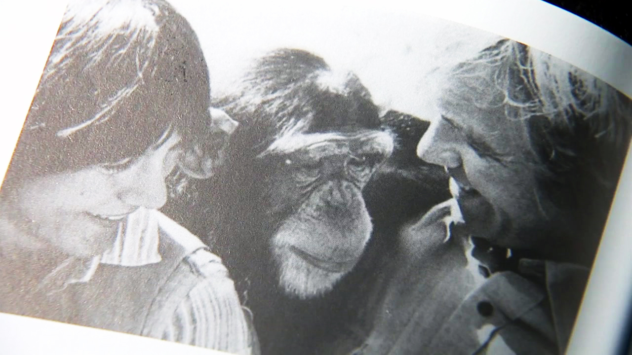 [신간] 유전자 일치 98.4%, 인간-침팬지의 대화