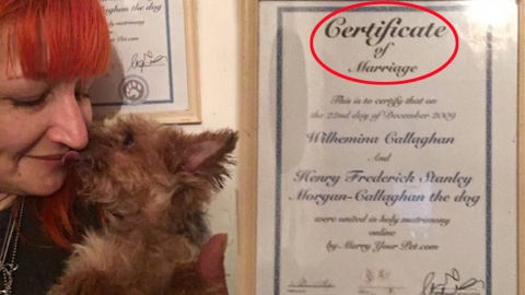 비혼 선언하고 자신의 반려견과 결혼식 올린 여성