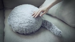 지친 심신을 달래주는 로봇 고양이 '쿠보'
