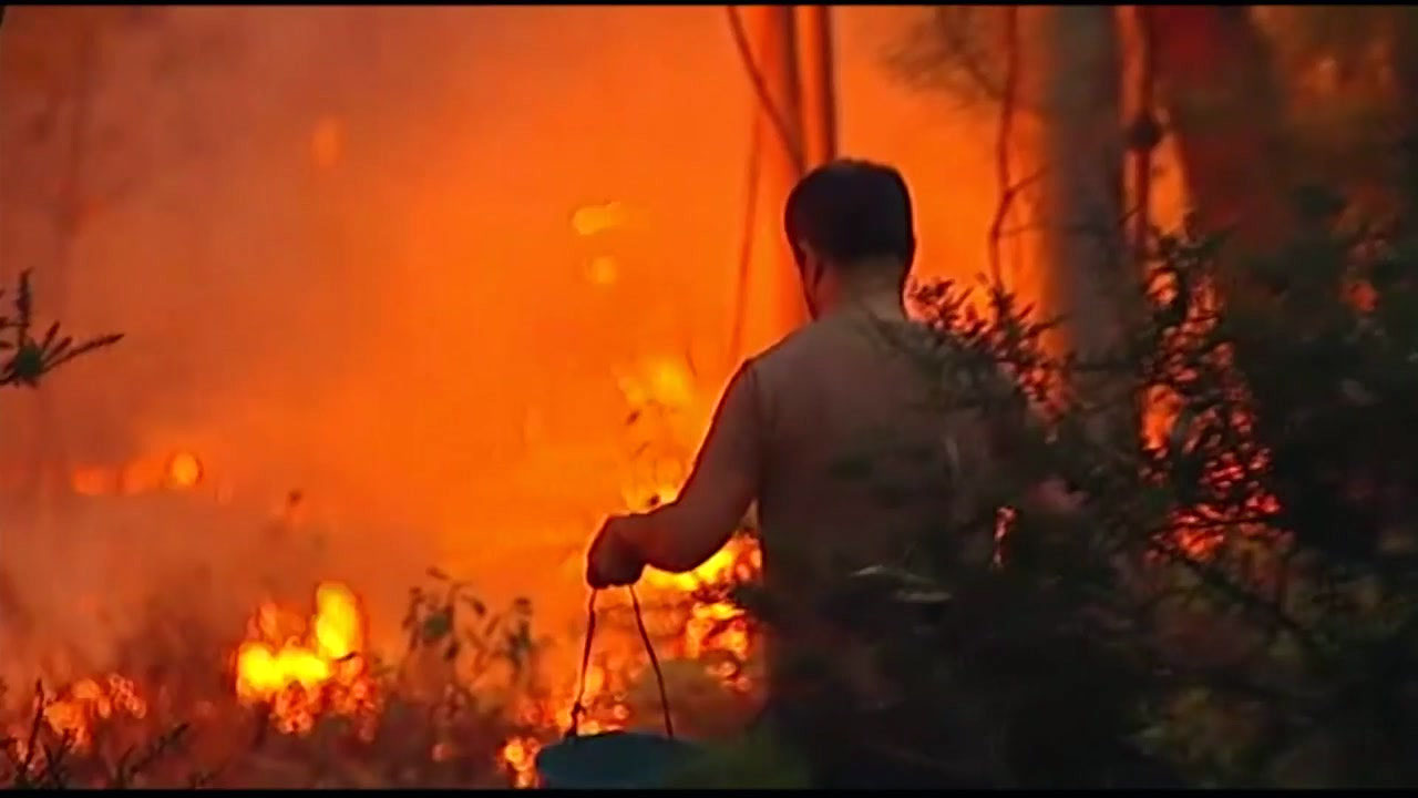 포르투갈·스페인 대규모 산불로 최소 30명 사망