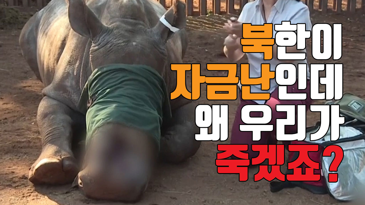 [자막뉴스] 北 자금난에 죽어가는 코끼리와 코뿔소