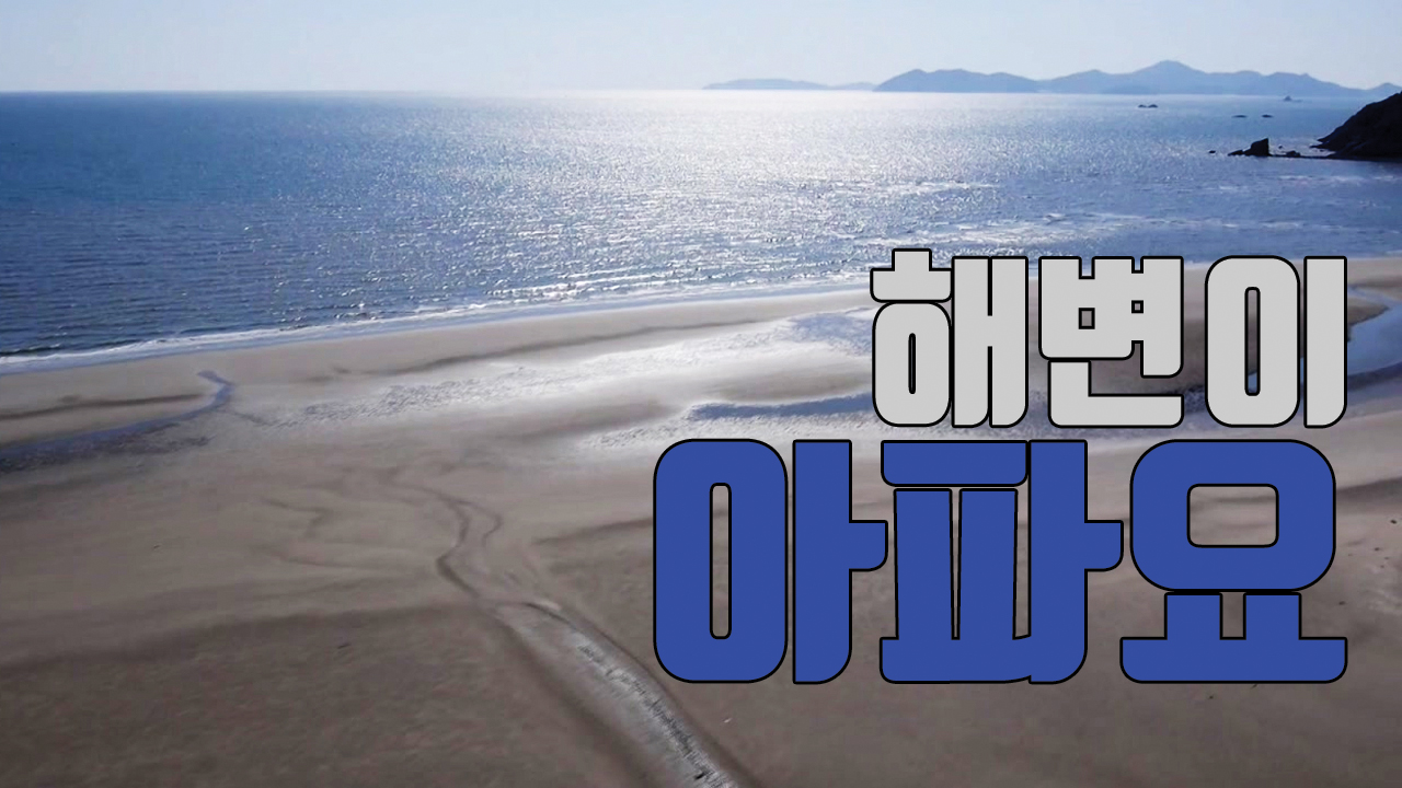 [자막뉴스] 천연기념물 해변이 아파요
