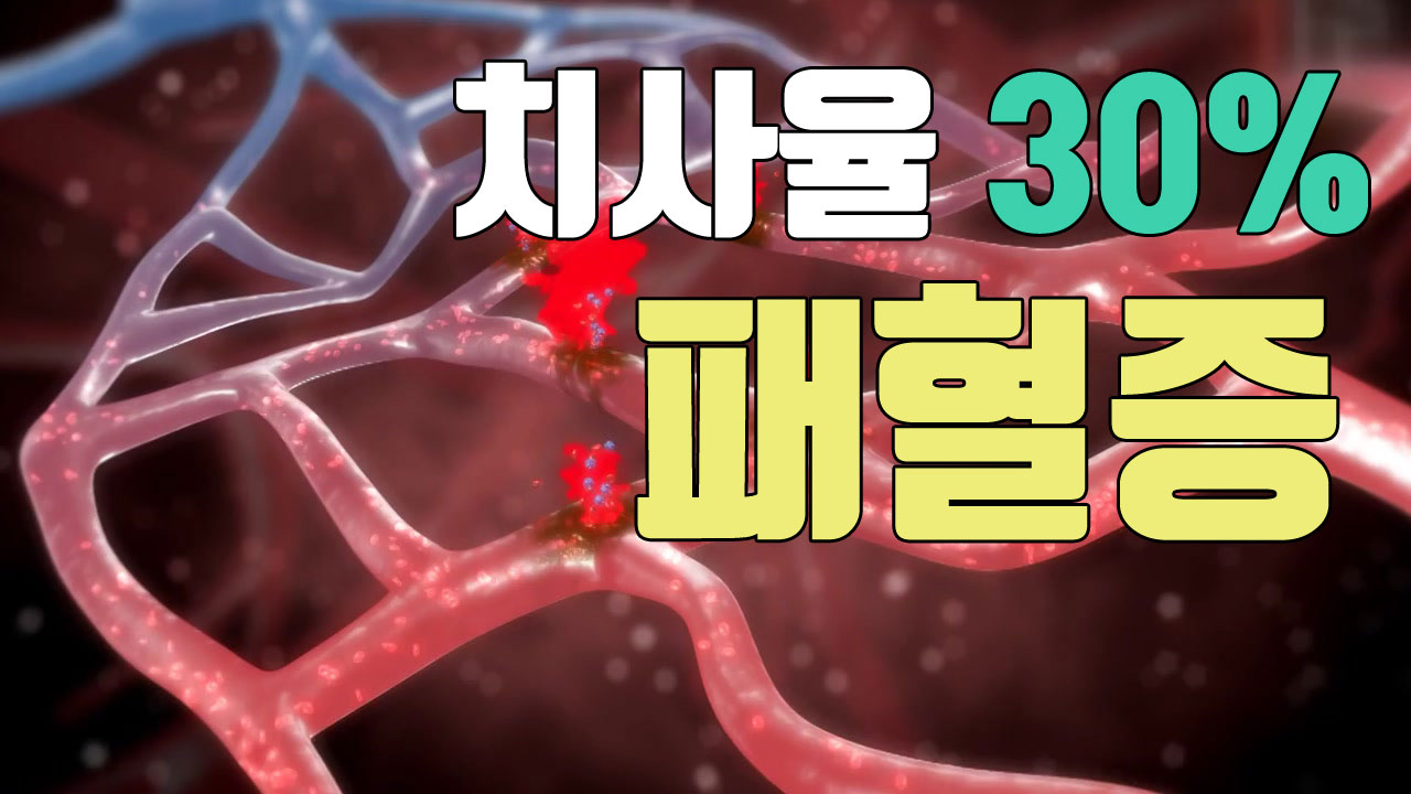 [자막뉴스] '치사율 30%' 위험한 패혈증
