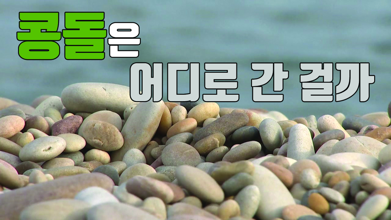 [자막뉴스] 사라지는 자연 유산...백령도 콩돌 해변