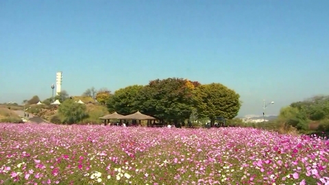 [날씨] 쌀쌀한 출근길...충청 이남 곳곳 빗방울