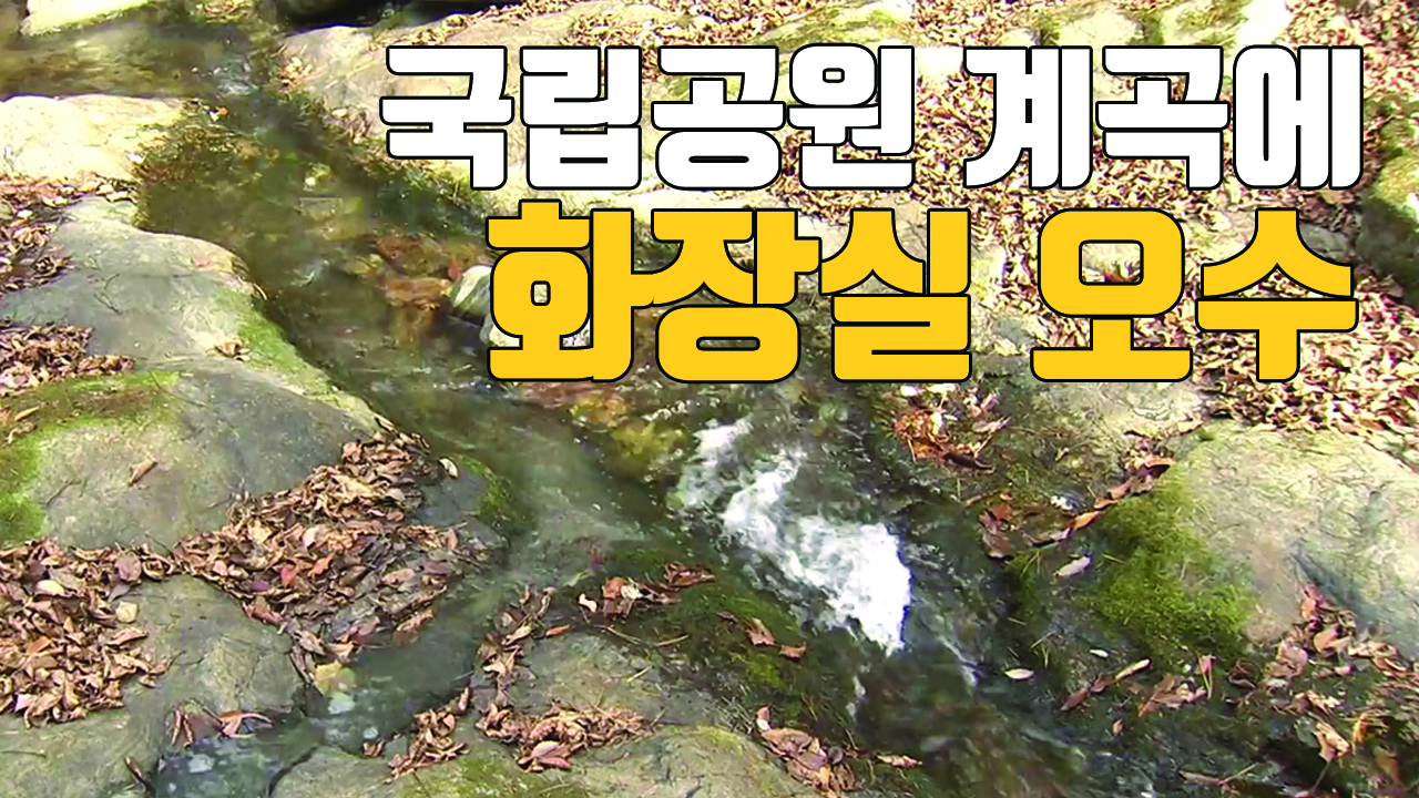 [자막뉴스] 국립공원 계곡에 화장실 오수 '줄줄'
