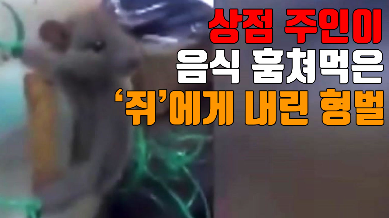 [자막뉴스] 상점 주인이 음식 훔쳐먹은 '쥐'에게 내린 형벌