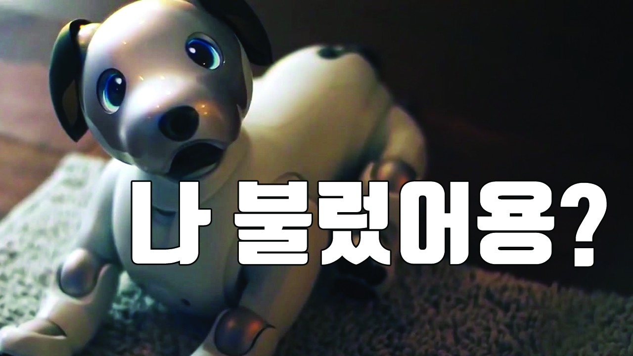 [자막뉴스] 주인을 기억하는 '로봇 강아지'