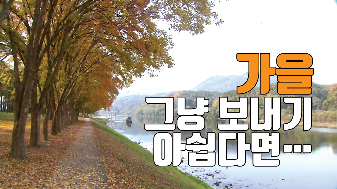 [자막뉴스] 가을의 끝자락 '영동 송호관광지'에서 힐링하세요