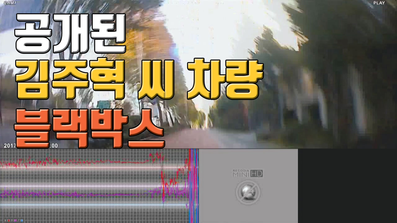 [자막뉴스] 경찰, 故 김주혁 차량 블랙박스 공개..."갑자기 돌진"