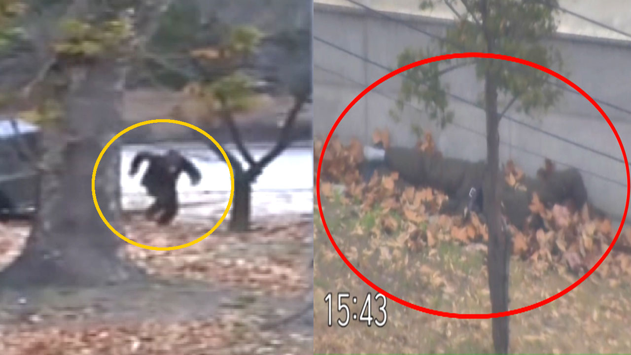 귀순 북한 병사 CCTV 공개...기적의 탈출