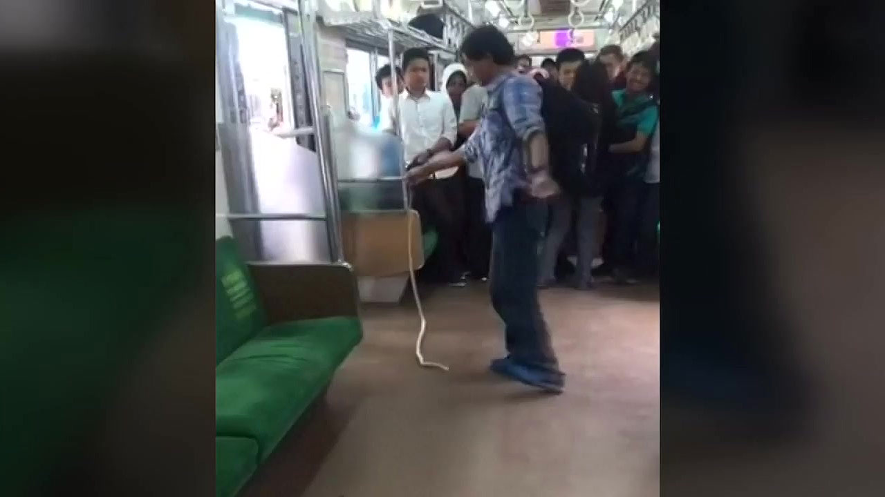 [영상] 인도네시아 열차서 맨손으로 뱀 잡아 죽인 승객