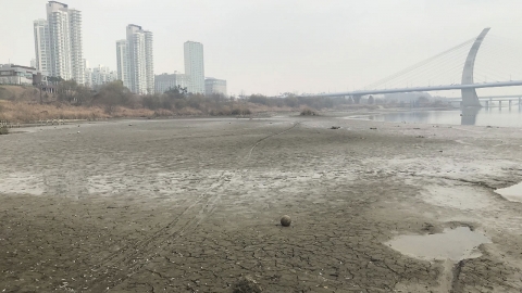녹색연합 "보 개방 뒤 금강 생태계 회복 움직임 관찰"