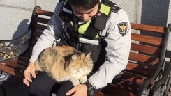부산 덕천 지구대 '무릎 고양이'의 다복한 근황