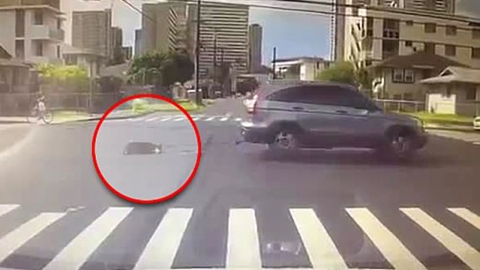 SUV 차량 뒤에 개 묶고 도로 질주한 운전자