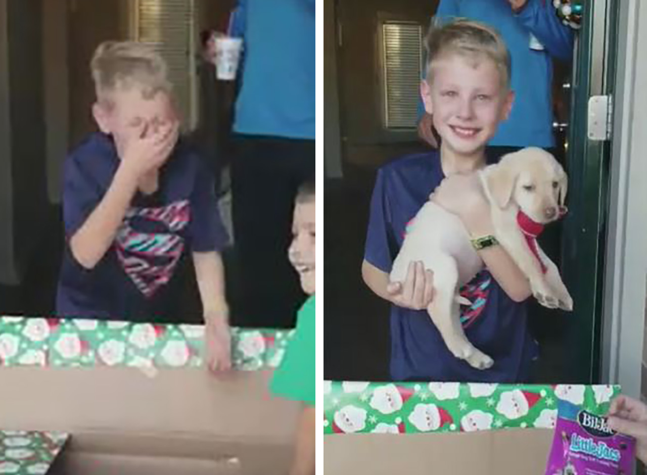 크리스마스 선물로 강아지 받은 소년이 눈물 흘린 이유