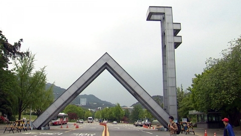 서울대 합격하고도 안 간 수험생 175명