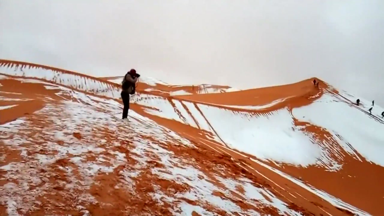 [영상] 사하라 사막에 쌓인 눈..."기후변화 영향"