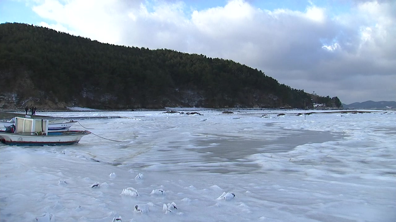 [영상] 최강 한파에 또다시 얼어버린 바다