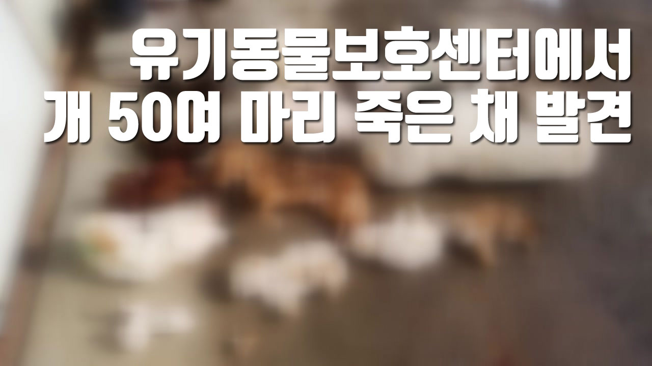 [자막뉴스] 유기동물보호센터에서 죽은 개 50여 마리 발견