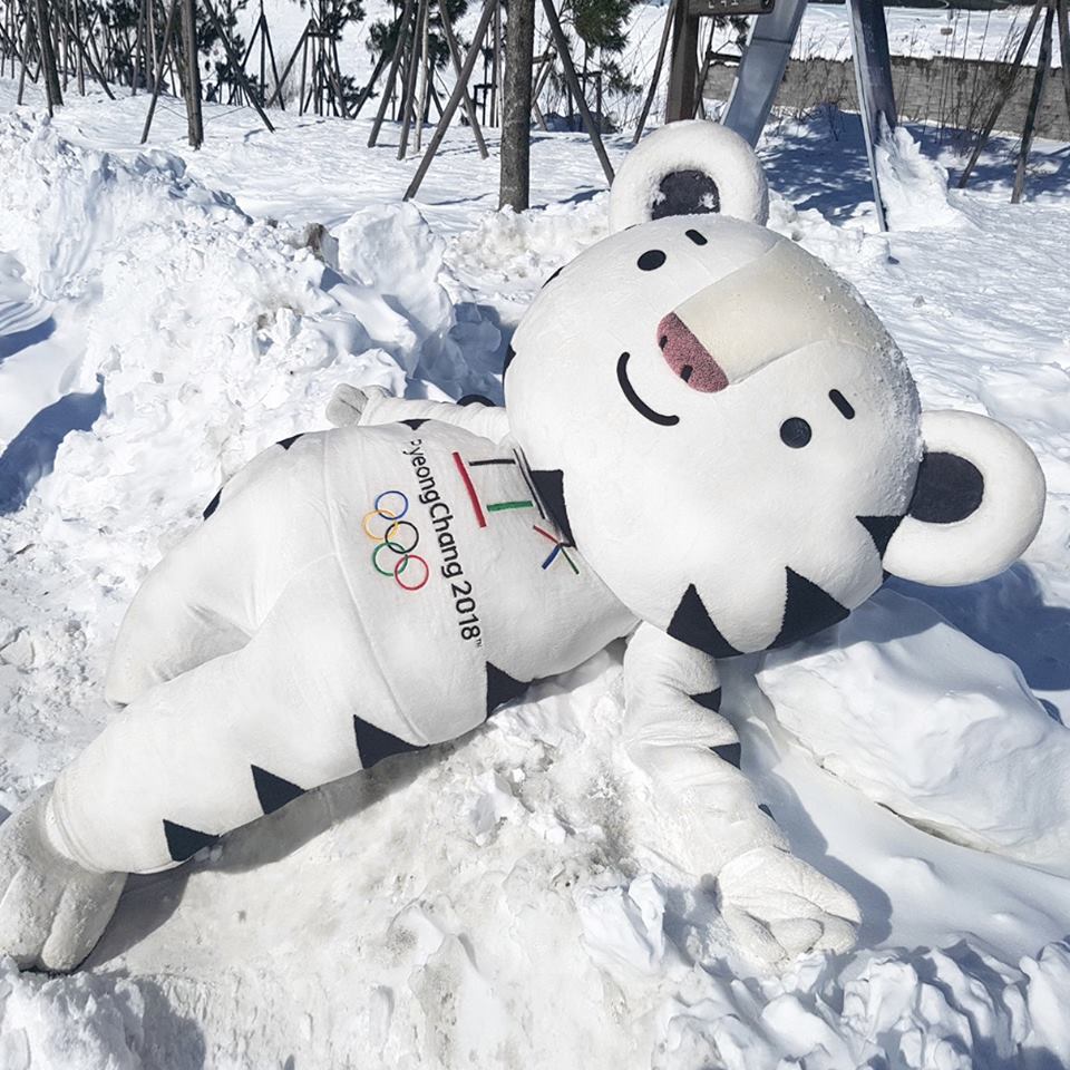 '평창 동계올림픽' 무사히 마무리한 '수호랑' 근황 사진 
