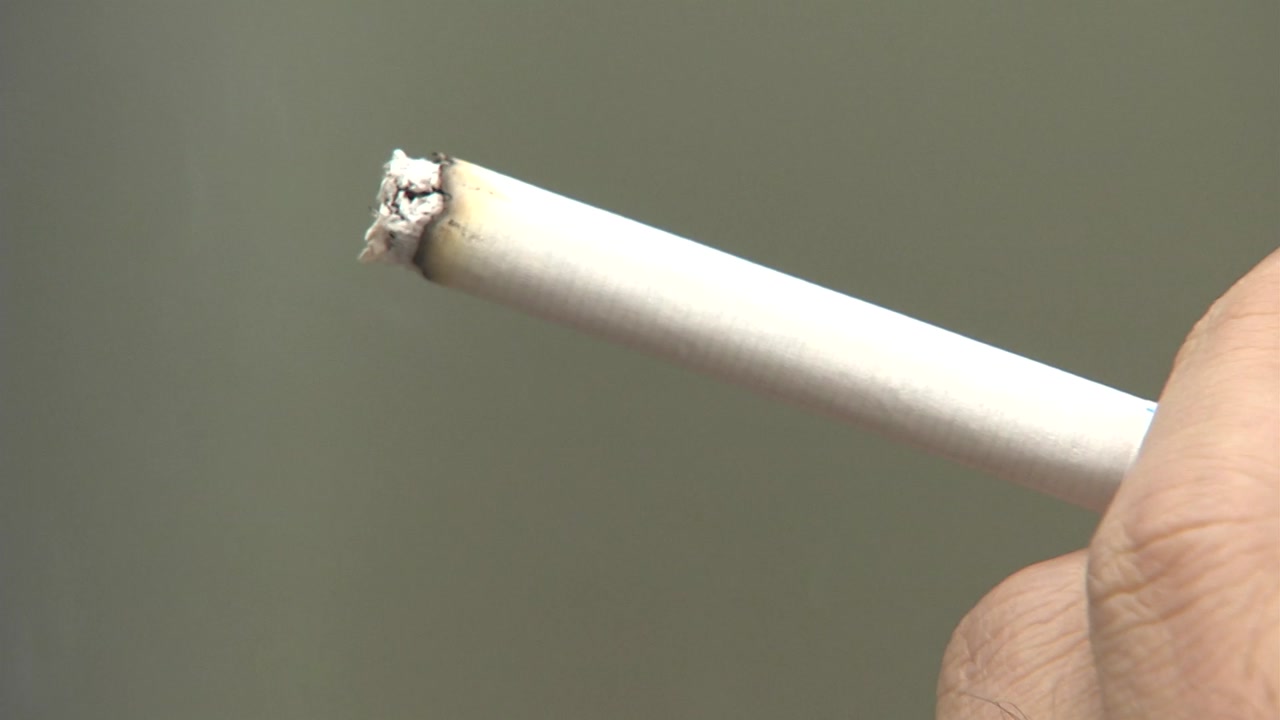 담배, 줄이기만 해도 폐암 위험 절반 감소