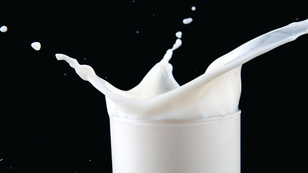 [30초 과학] 상한 우유, 어떻게 구분하세요
