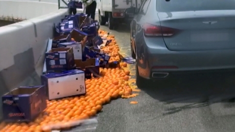 서울 가양대교에 오렌지 5천 개 쏟아져...한때 통제