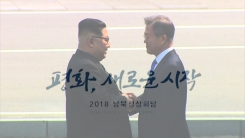 평화, 새로운 시작...정상회담 성과·과제는