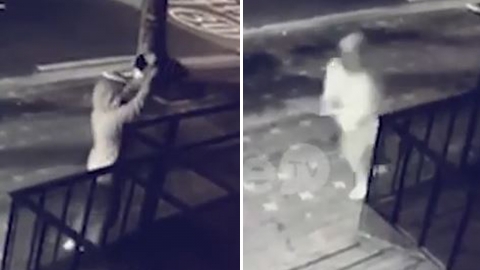 답십리 반려동물 입양센터에 강아지 버리고 떠난 남성