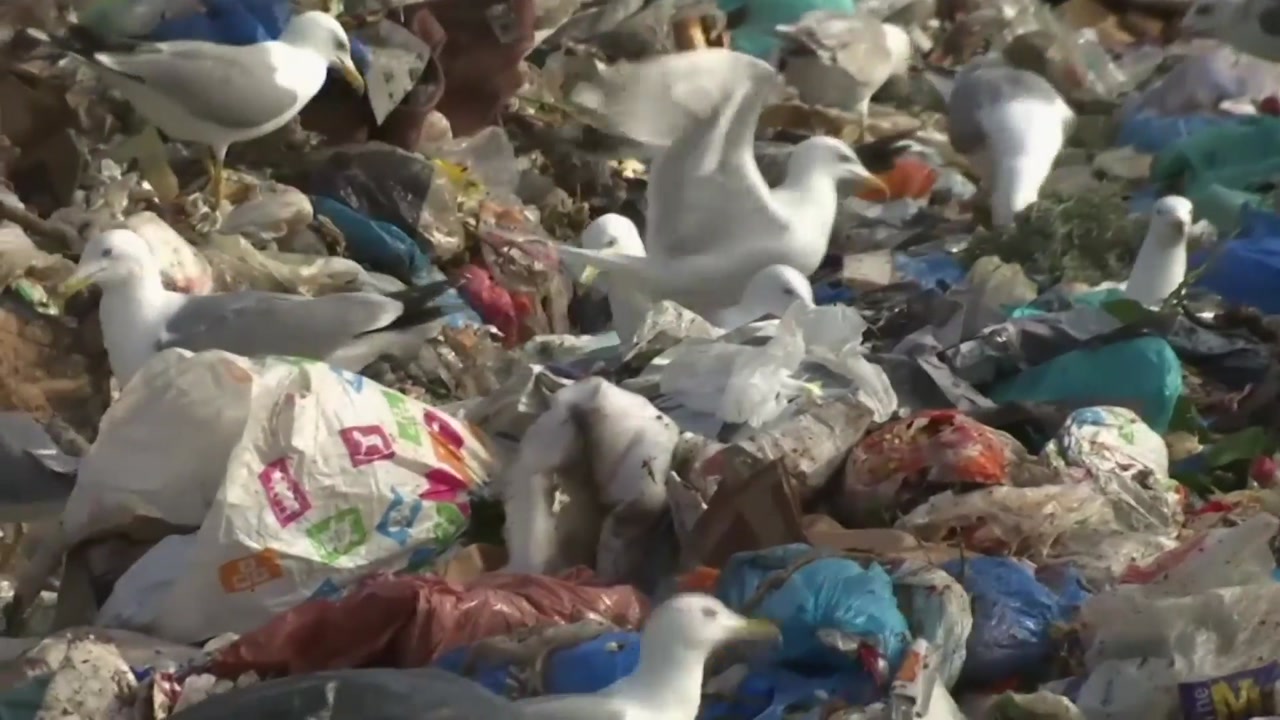 플라스틱 퍼져가는 바다...남태평양 한복판도 오염