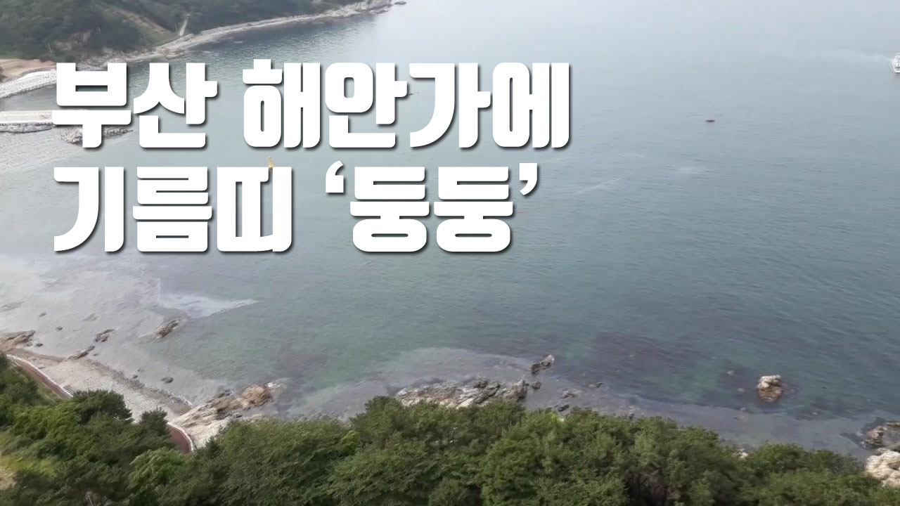[자막뉴스] 부산 해안가에 기름띠 '둥둥'