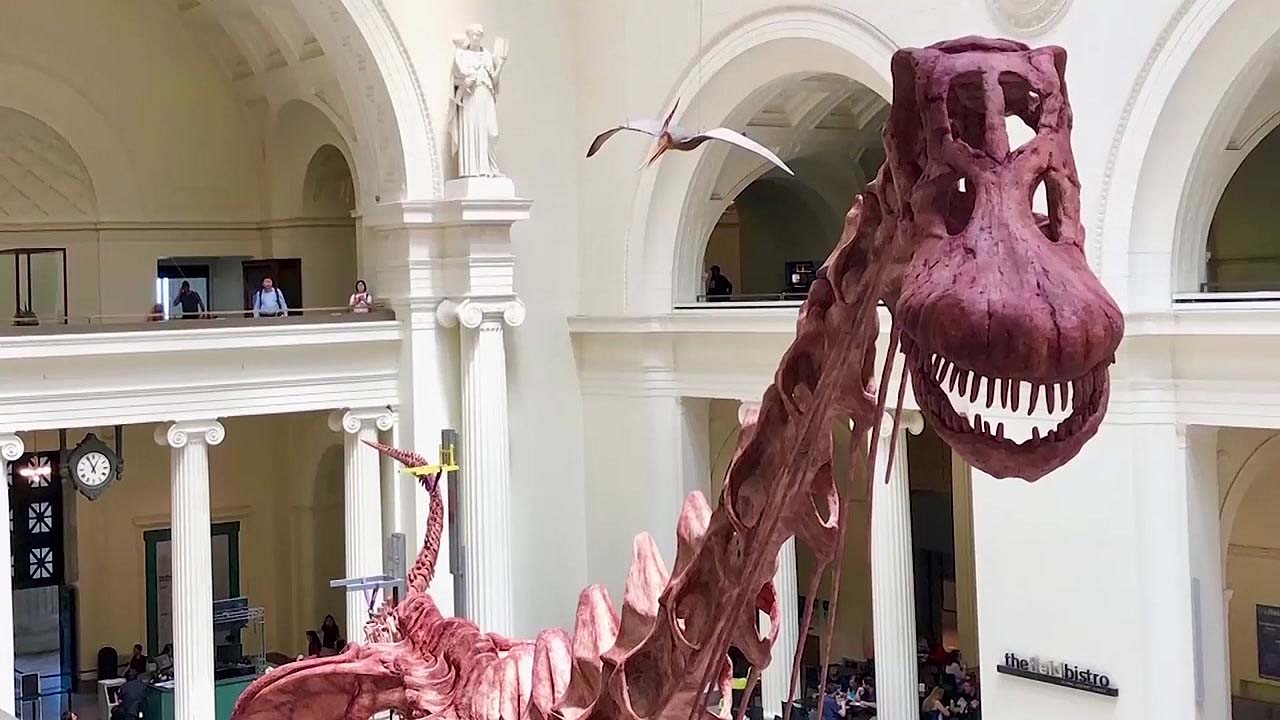 내가 제일 커!... 세계 최대 공룡, 미국에 등장
