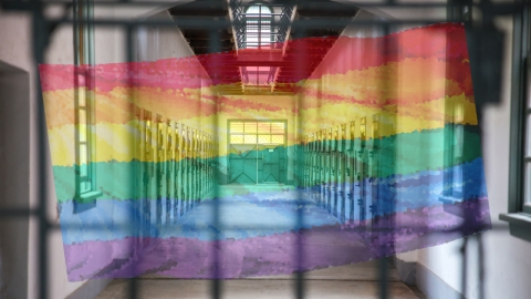 "신체적 안전·다양성 보장" 브라질, 성 소수자 전용 교도소 개소