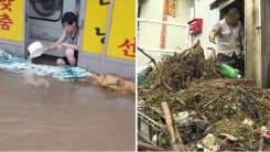 주택 침수·항공기 지연...호우·강풍 피해 속출