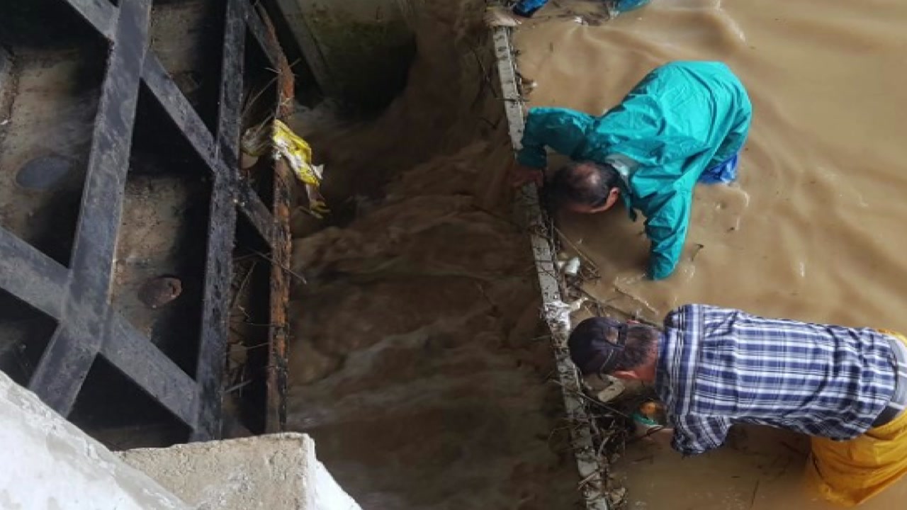 전남 225mm 폭우...농경지·주택 침수 잇따라