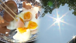 차 안에서 하얗게 익어버린 달걀...찜통 대구