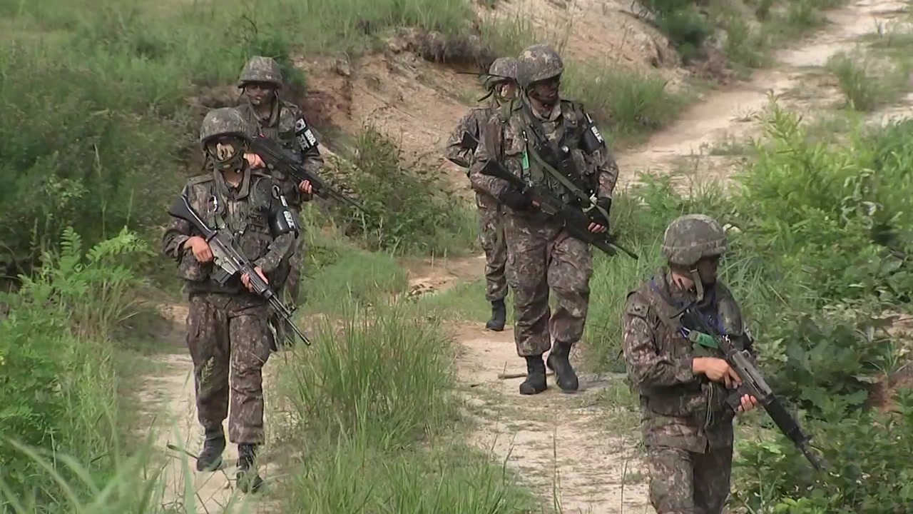 軍 "DMZ 내 병력·장비 전면 철수 추진"