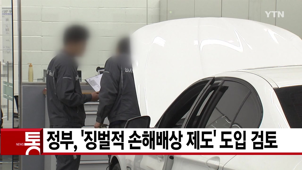 [YTN 실시간뉴스] 정부, '징벌적 손해배상 제도' 도입 검토