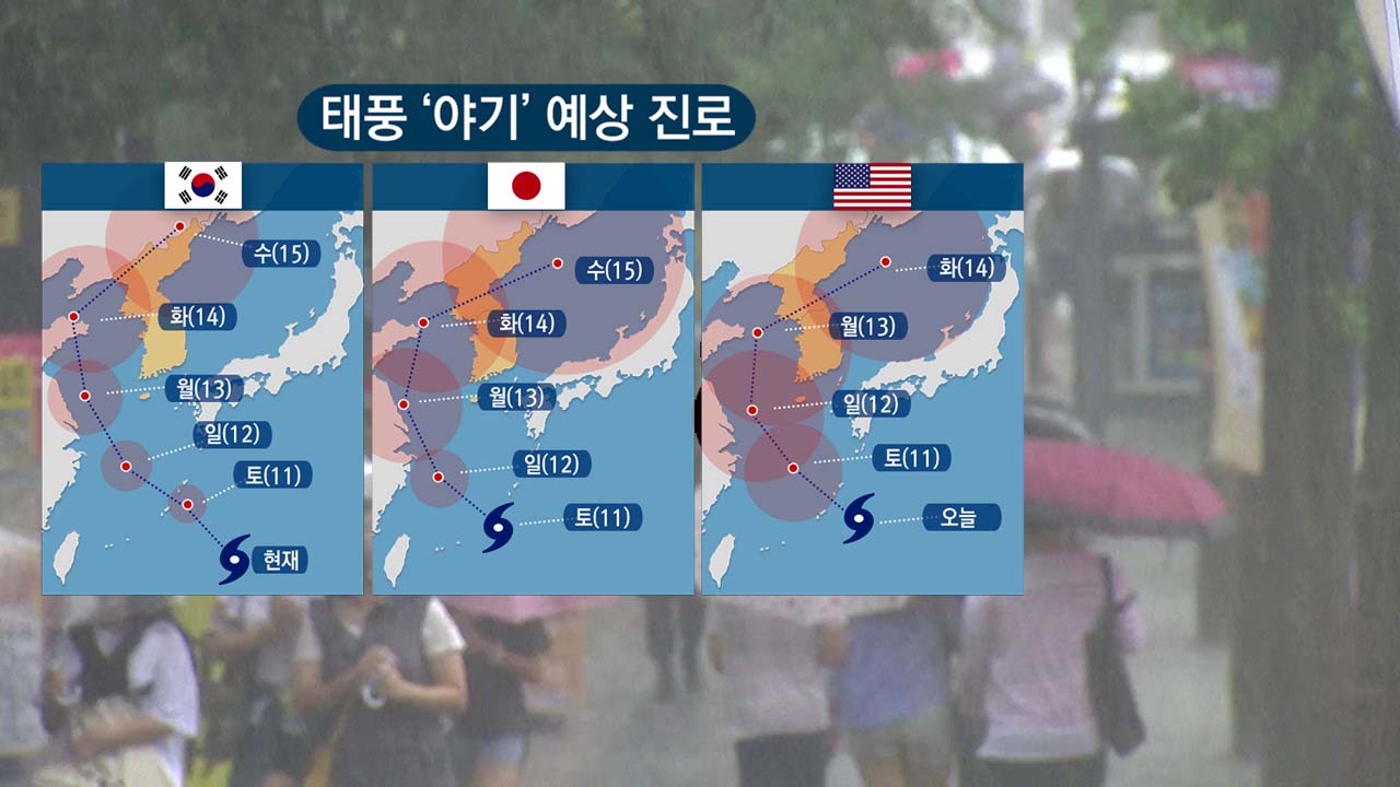 [취재N팩트] 14호 태풍 '야기' 다음 주 북한 상륙...효자 태풍 될까?