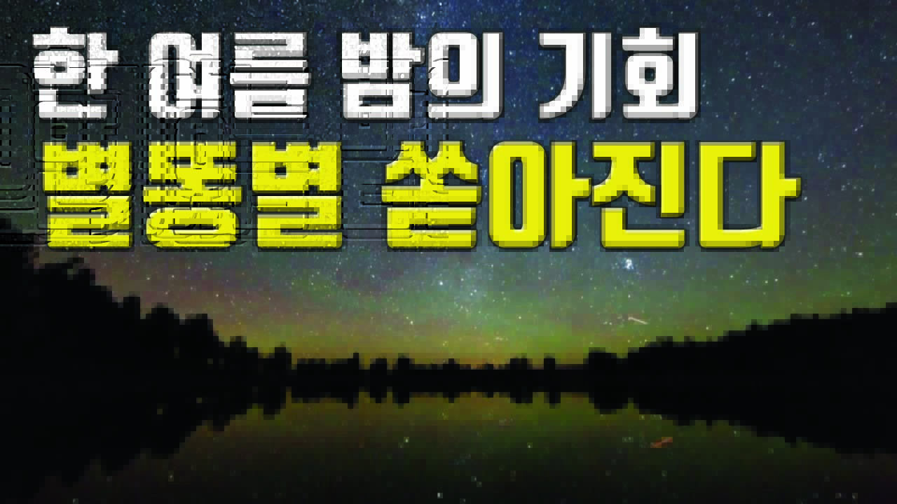 [자막뉴스] '한여름밤의 쇼' 하늘에서 별이 쏟아진다