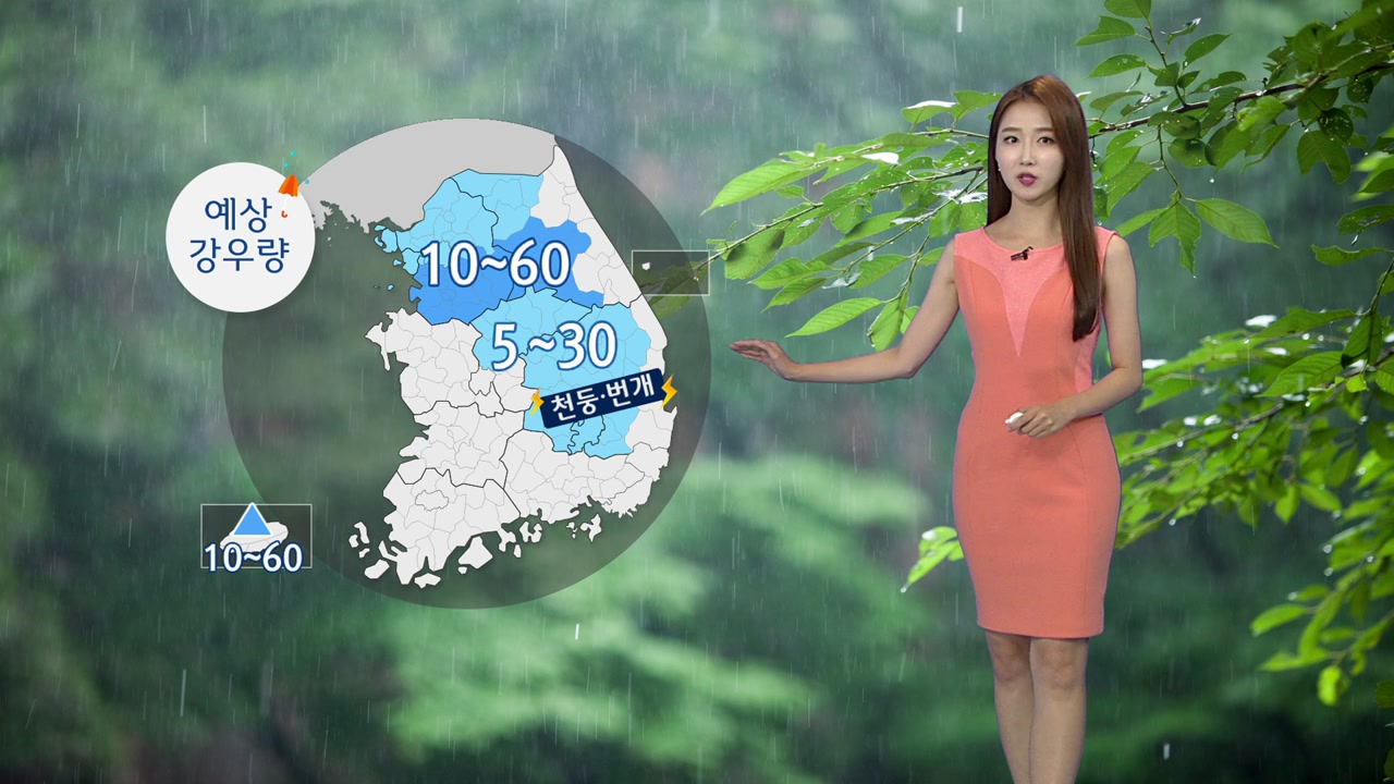 [날씨] 전국 뜨거워, 서울 36℃...소나기도 역부족