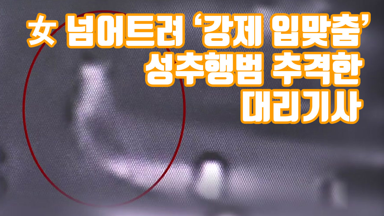 [자막뉴스] 女 넘어트려 '강제 입맞춤'...성추행범 추격한 대리기사