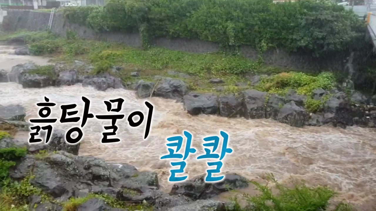 [뉴스앤이슈] 제보 영상으로 보는 태풍 '솔릭'의 위력