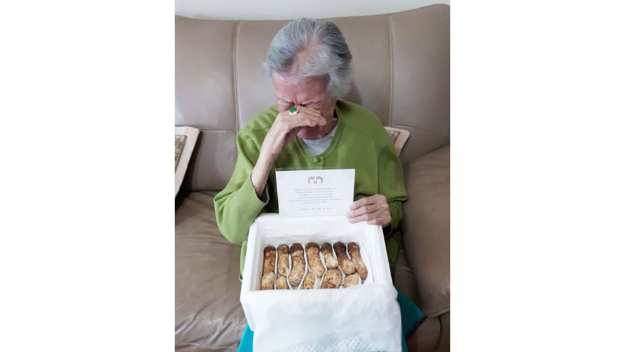 68년 전 생이별 아픔 겪은 할머니, 北 송이버섯에 '눈물'