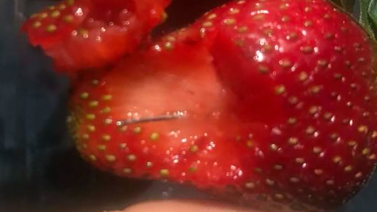 뉴질랜드서 판매되는 '호주산 딸기'에서도 바늘 발견