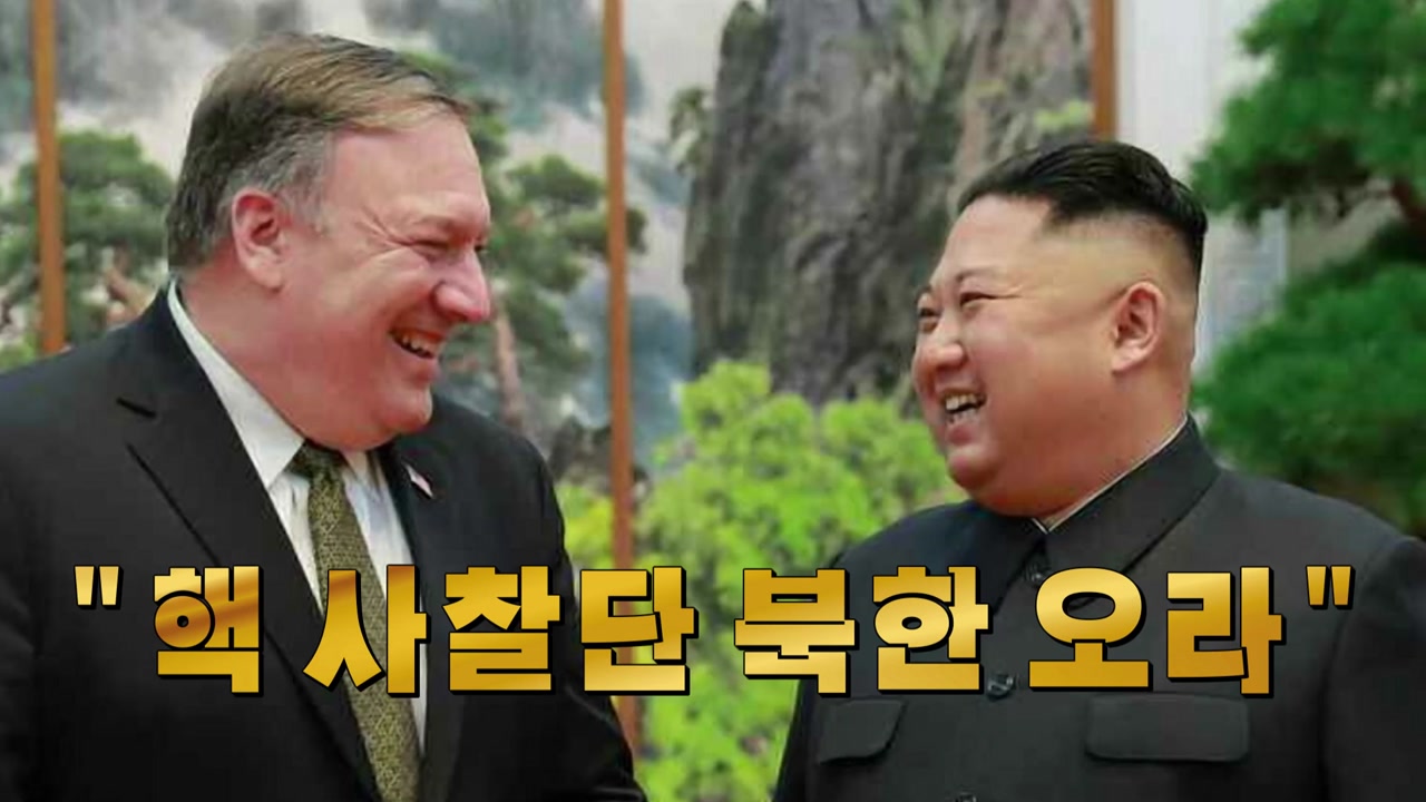 "핵 사찰단 곧 방북"...북미 '빅딜' 가시화