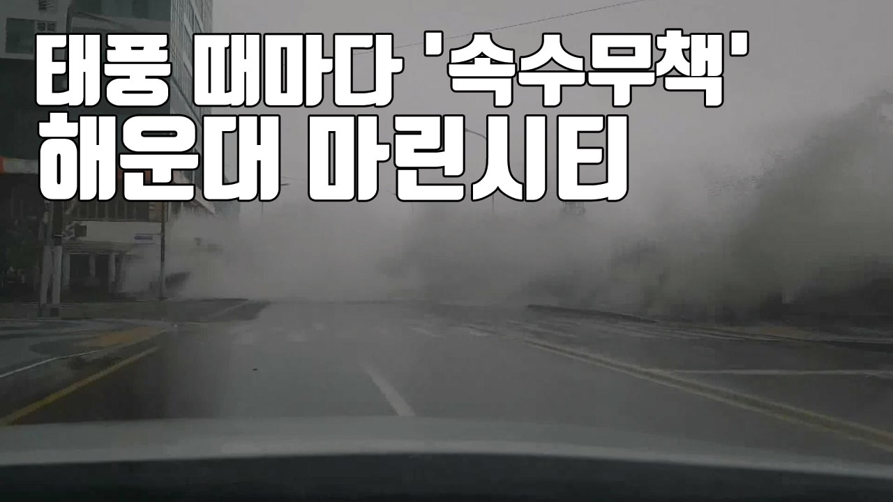 [자막뉴스] 태풍 때마다 '속수무책'...해운대 마린시티